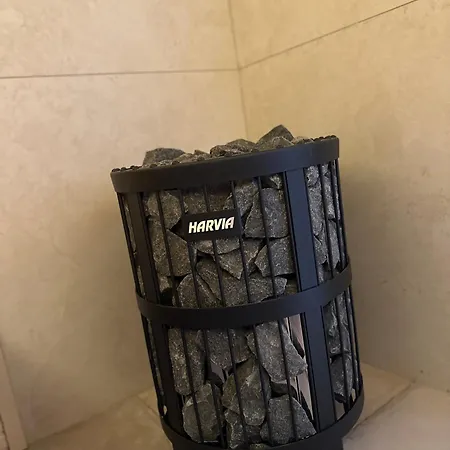 292 * 切尔尼杜尔